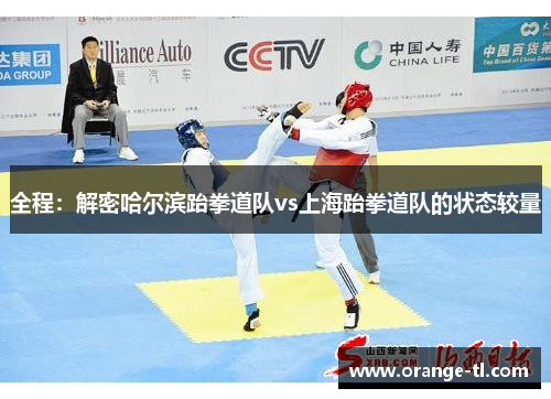 全程：解密哈尔滨跆拳道队vs上海跆拳道队的状态较量