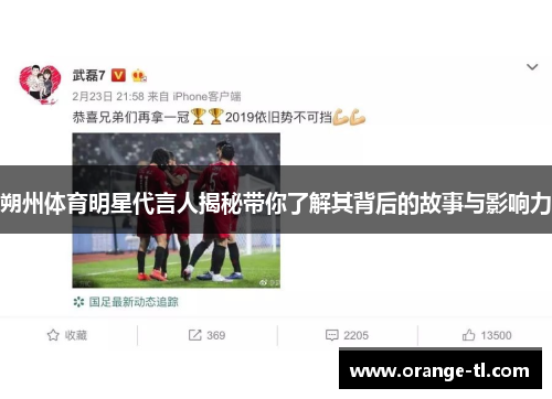 朔州体育明星代言人揭秘带你了解其背后的故事与影响力