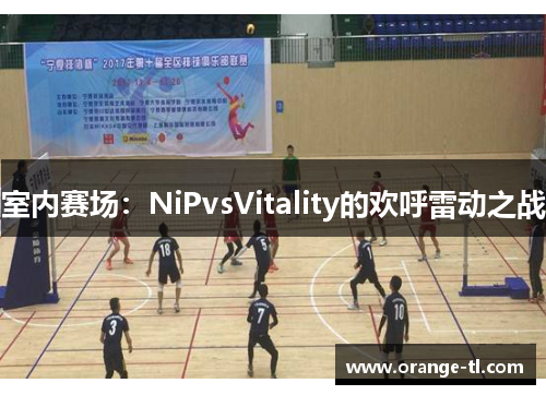 室内赛场：NiPvsVitality的欢呼雷动之战